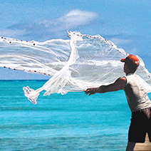 castnet-catalog